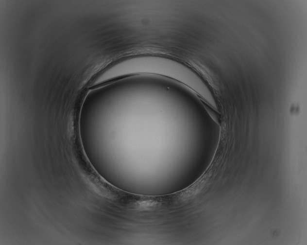 X0000089410158200707131808