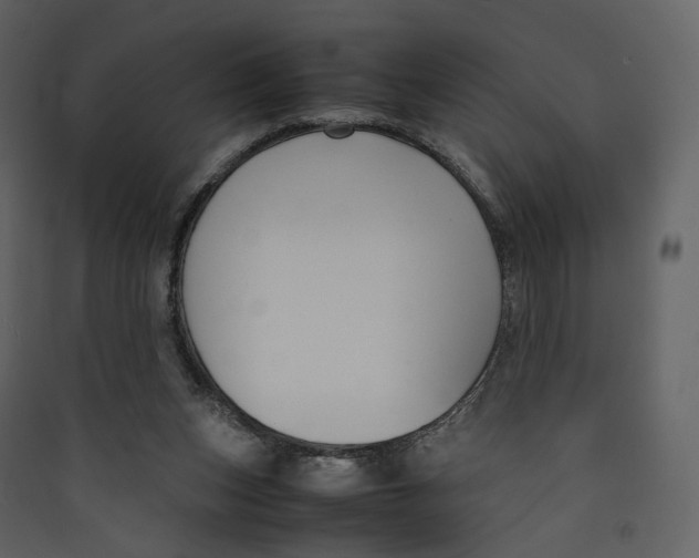 X0000089410159200707131808