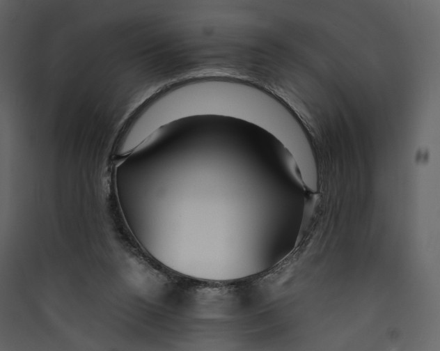 X0000089410160200707131808