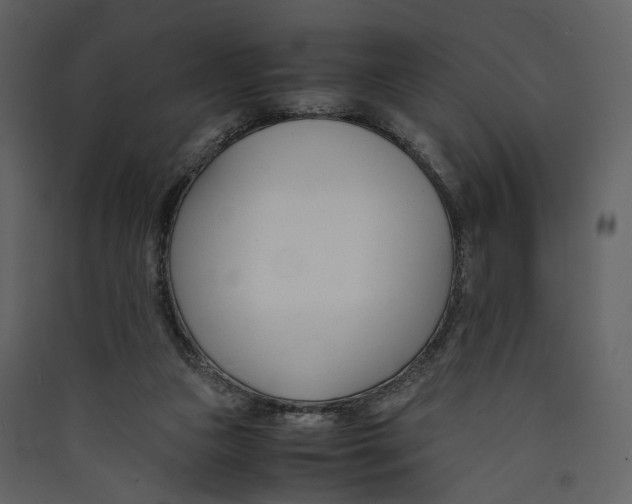 X0000089410161200707131808