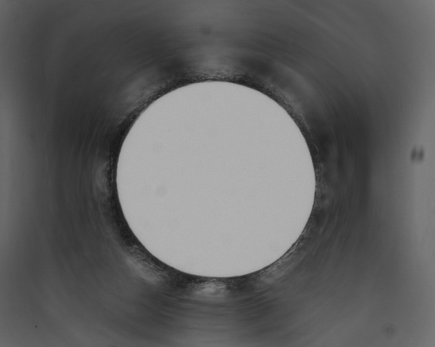 X0000089410162200707131808