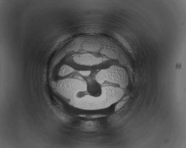 X0000089410163200707131808