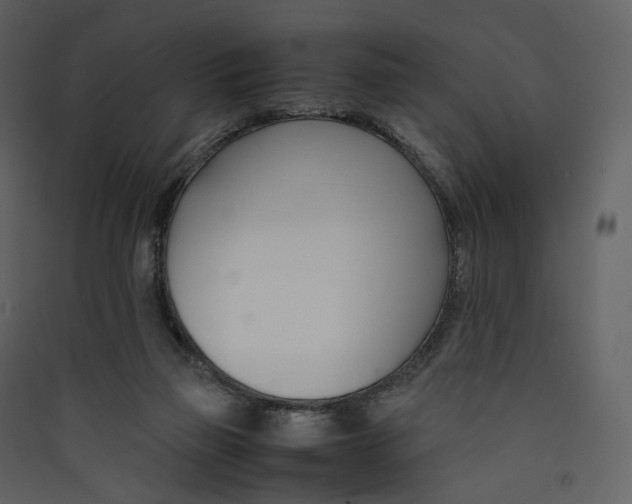 X0000089410165200707131808