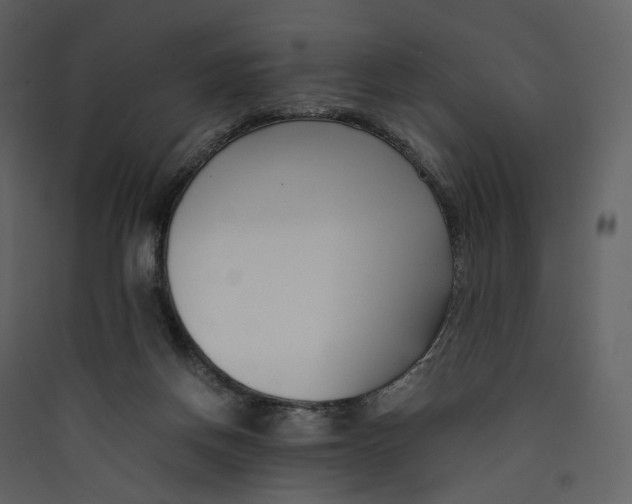 X0000089410166200707131808