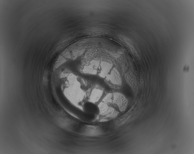 X0000089410167200707131808