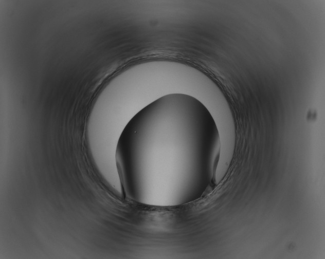 X0000089410168200707131808