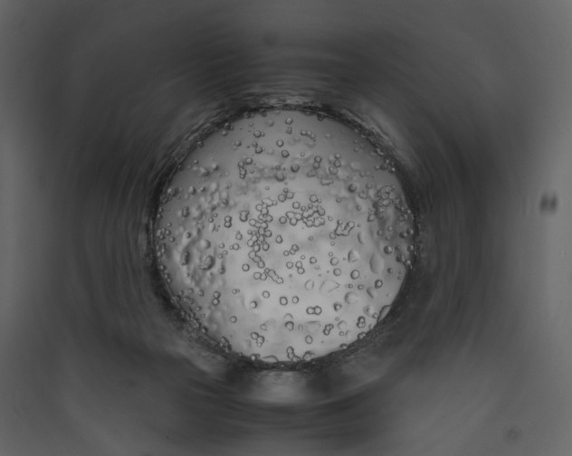 X0000089410169200707131808