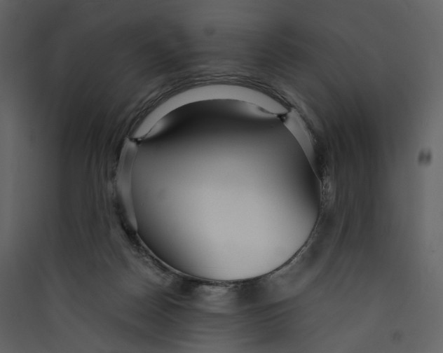 X0000089410170200707131808