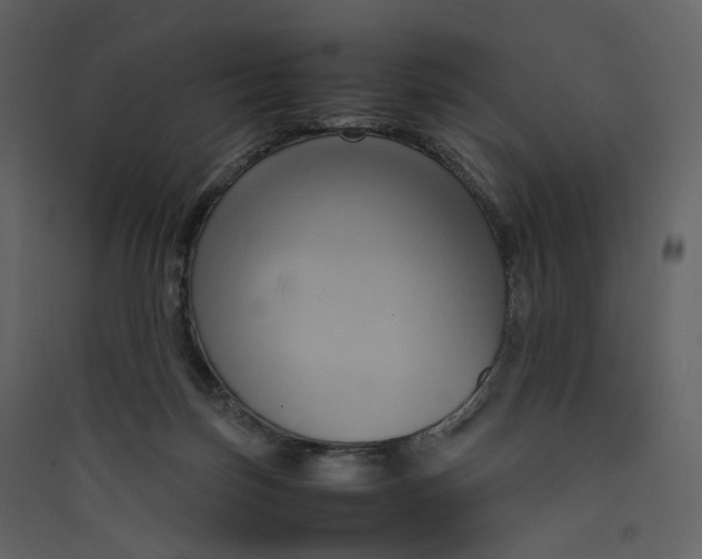 X0000089410171200707131808