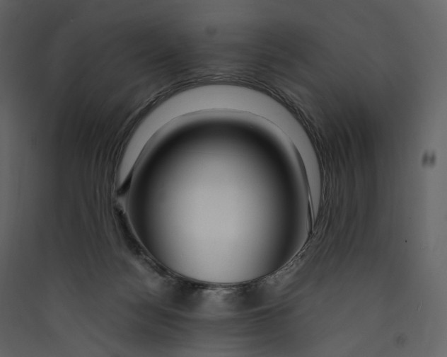 X0000089410172200707131808