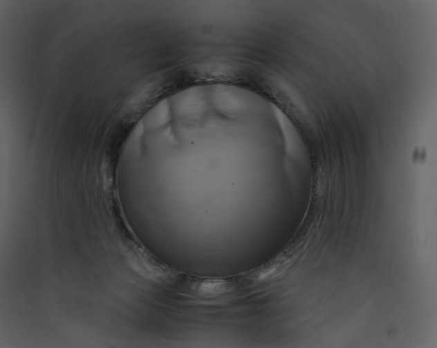 X0000089410173200707131808