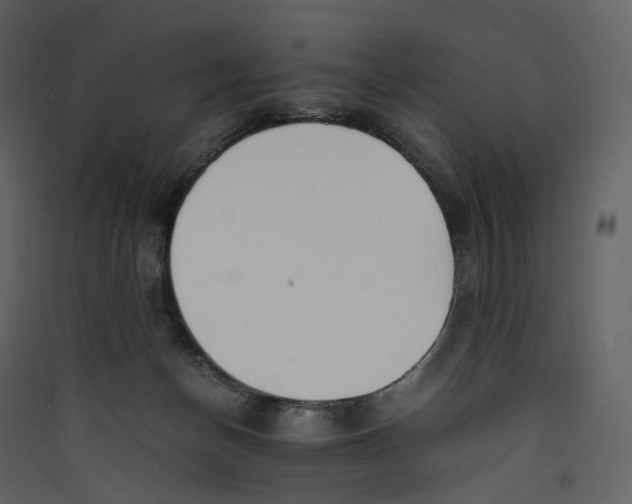 X0000089410174200707131808