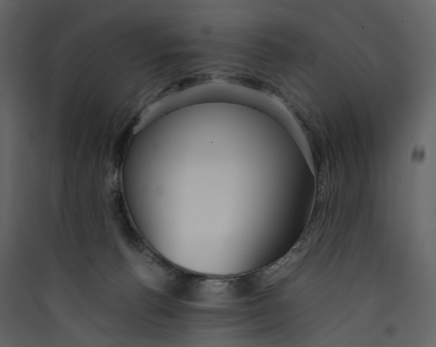 X0000089410176200707131808