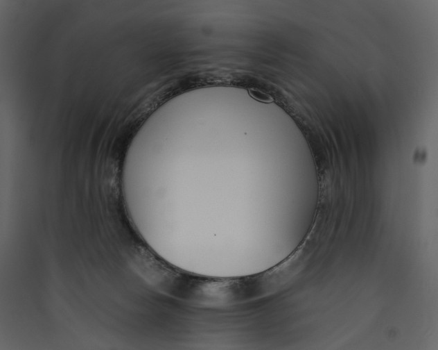 X0000089410178200707131808