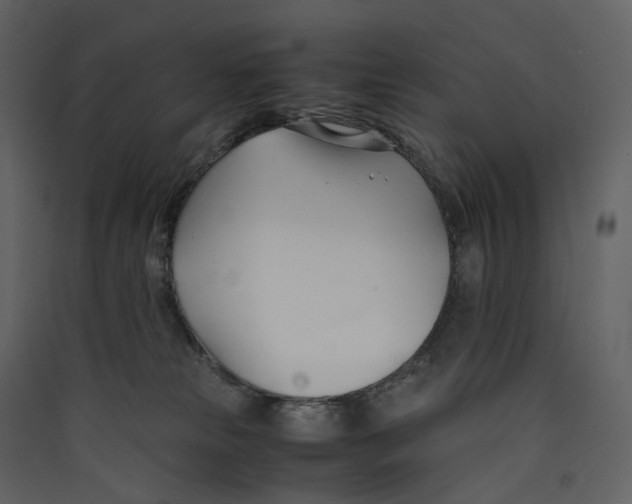 X0000089410181200707131808