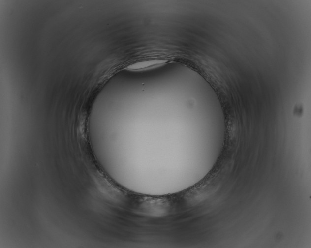 X0000089410185200707131808