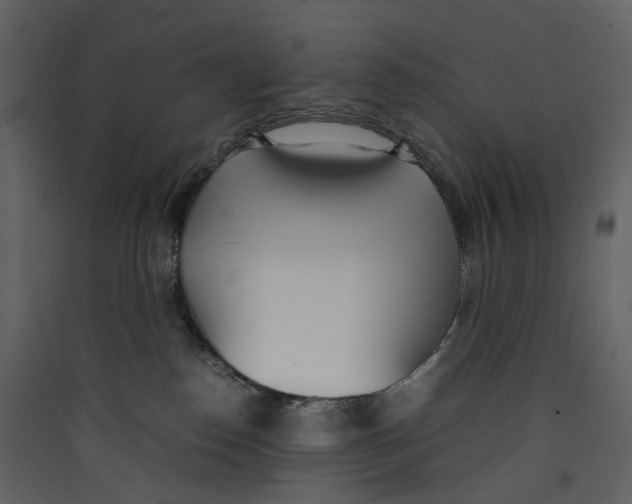 X0000089410186200707131808