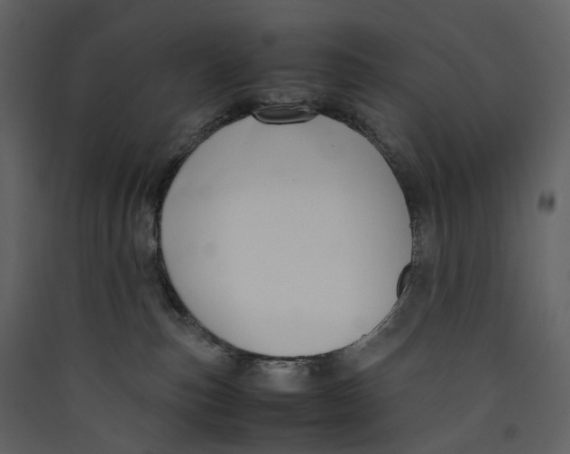 X0000089410187200707131808