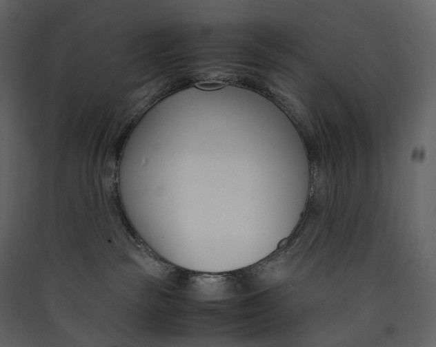 X0000089410189200707131808