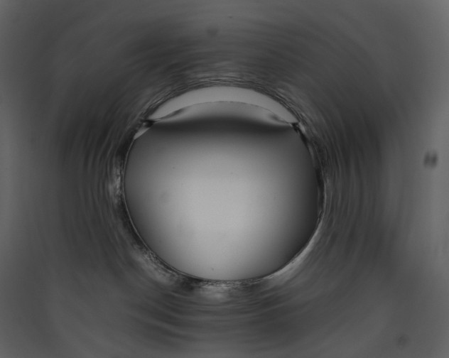 X0000089410190200707131808