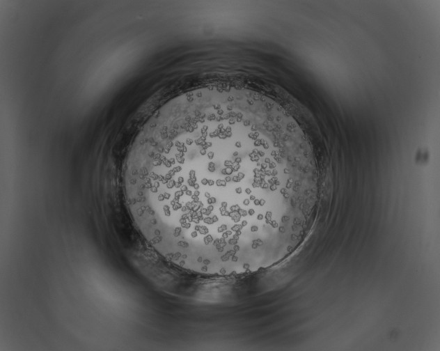 X0000089410191200707131808