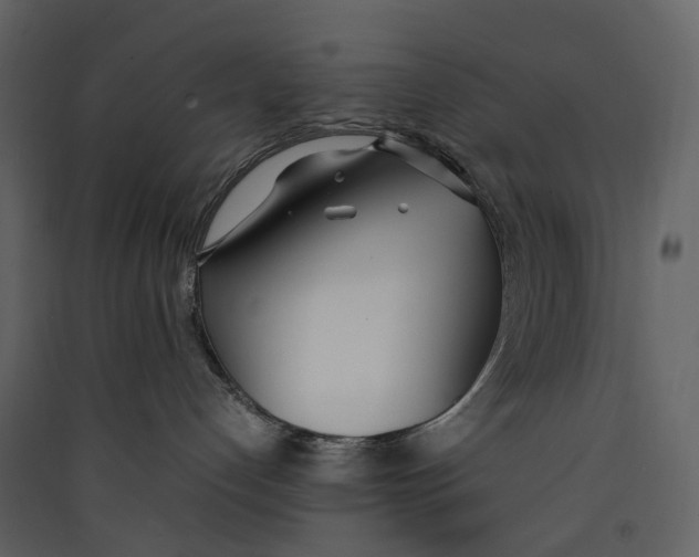 X0000089410192200707131808