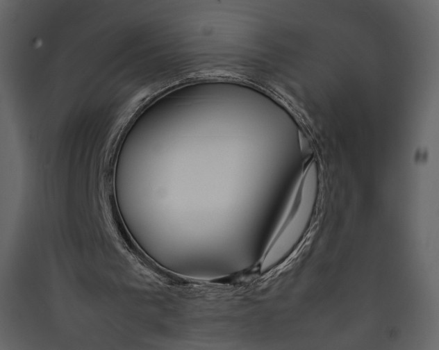 X0000089410193200707131808