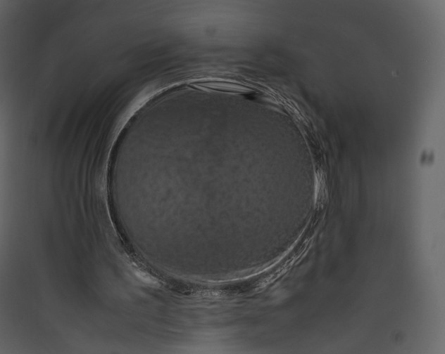 X0000089410195200707131808