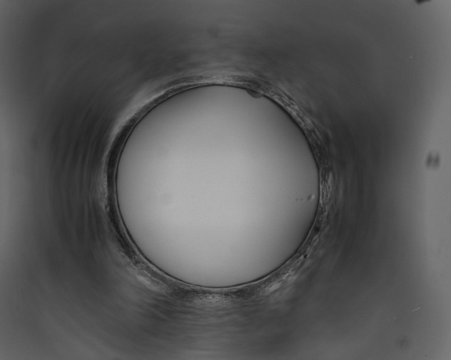 X0000089410198200707131808