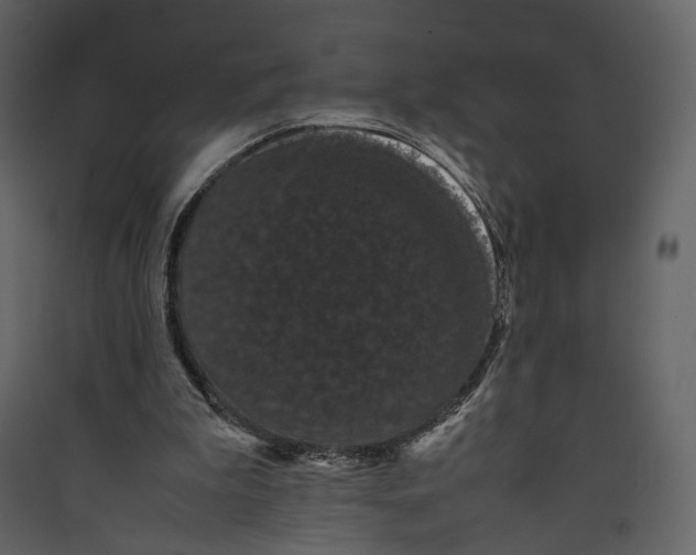 X0000089410199200707131808