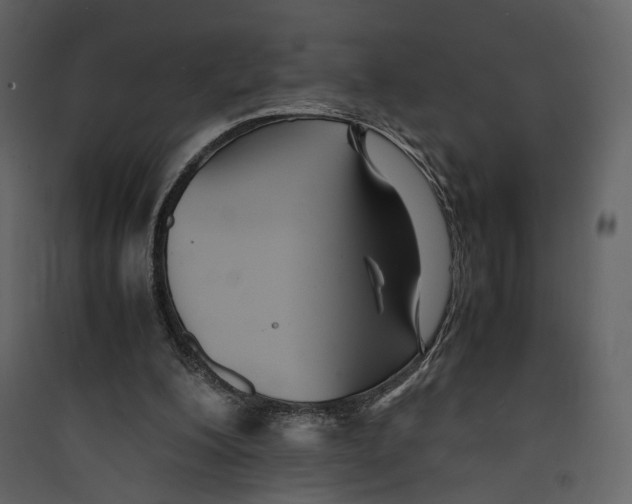 X0000089410200200707131808