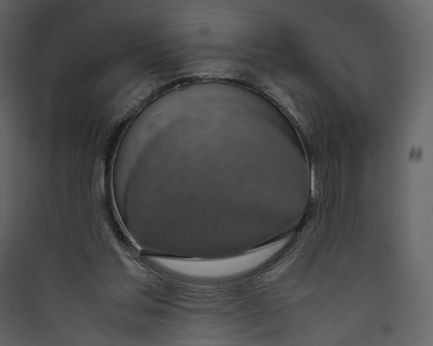 X0000089410205200707131808