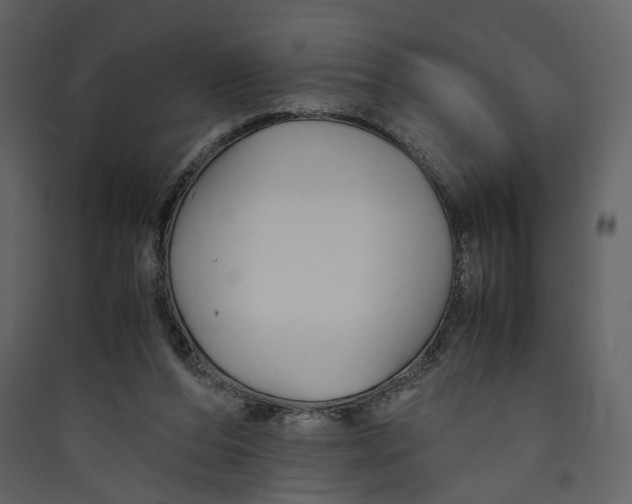 X0000089410208200707131808