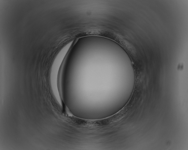 X0000089410209200707131808