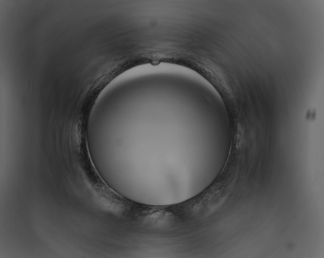 X0000089410210200707131808