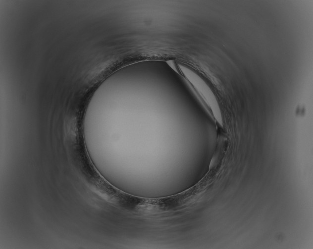 X0000089410211200707131808