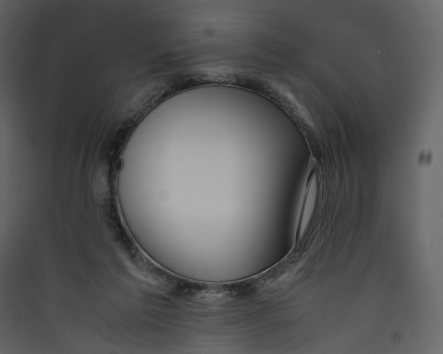 X0000089410213200707131808