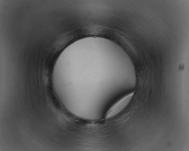 X0000089410216200707131808