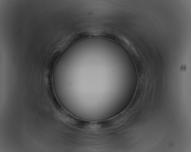 X0000089410217200707131808
