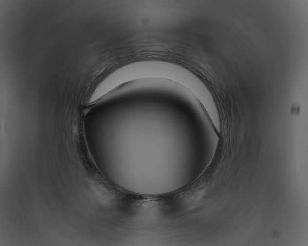 X0000089410219200707131808