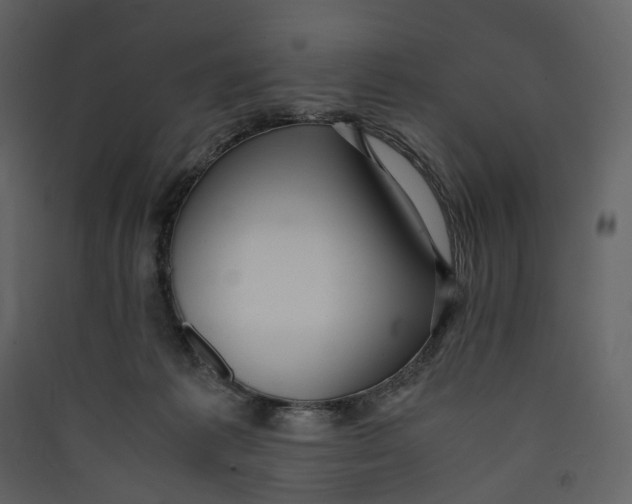 X0000089410221200707131808