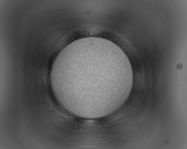 X0000089410222200707131807