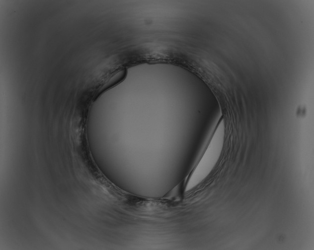 X0000089410223200707131807