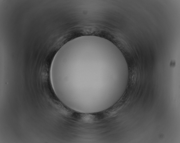 X0000089410226200707131807