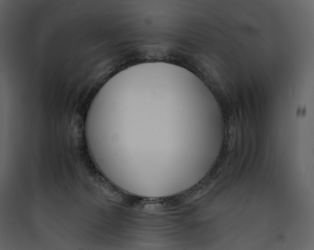 X0000089410228200707131807