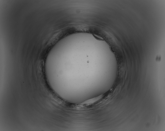 X0000089410229200707131807