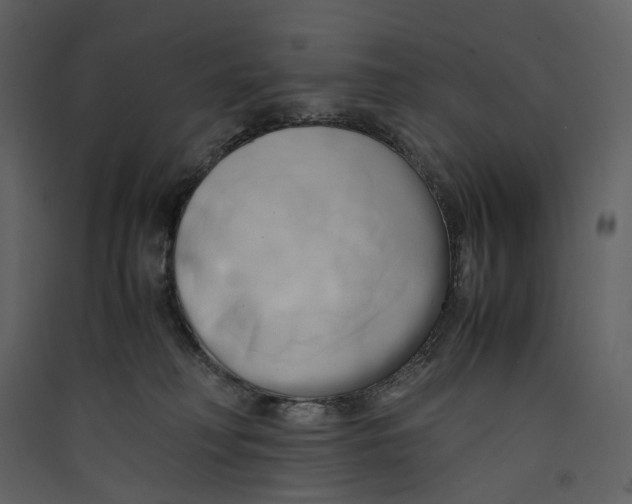 X0000089410230200707131807