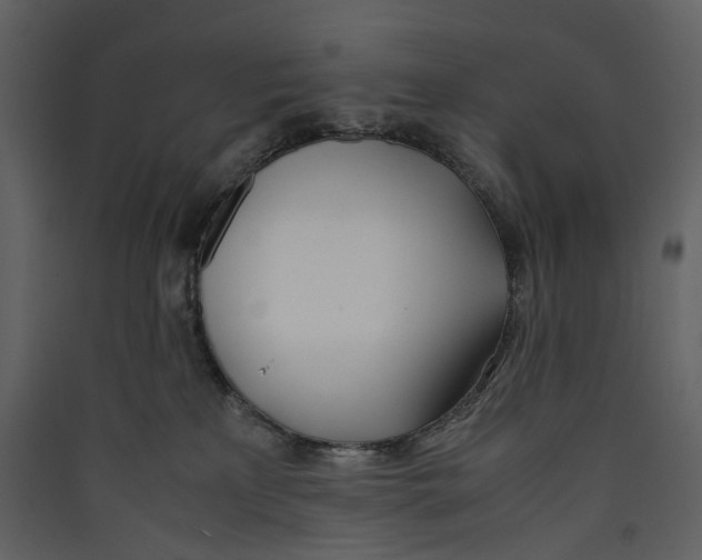 X0000089410233200707131807