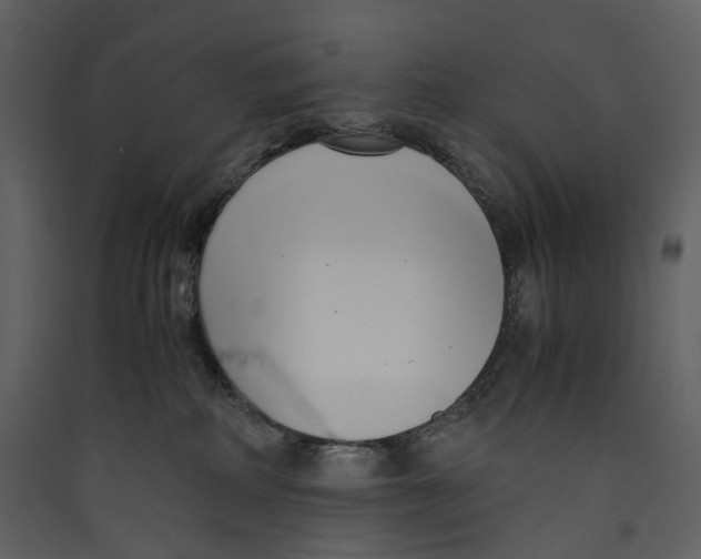 X0000089410234200707131807