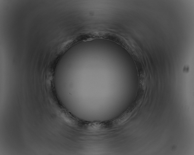 X0000089410235200707131807